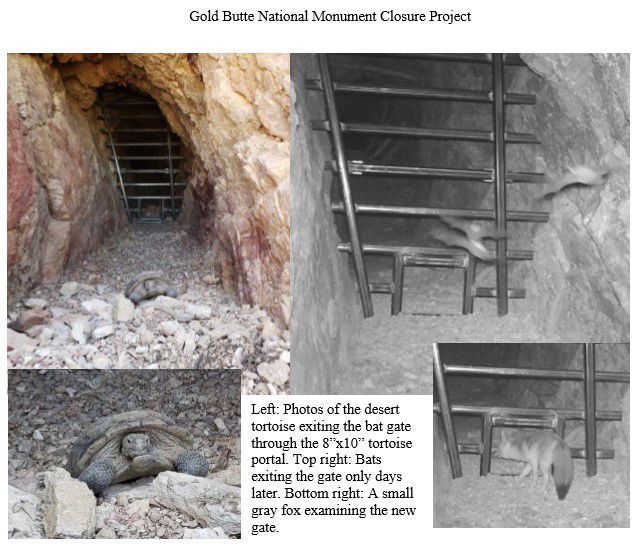 Abandoned Mines - Gold Butte